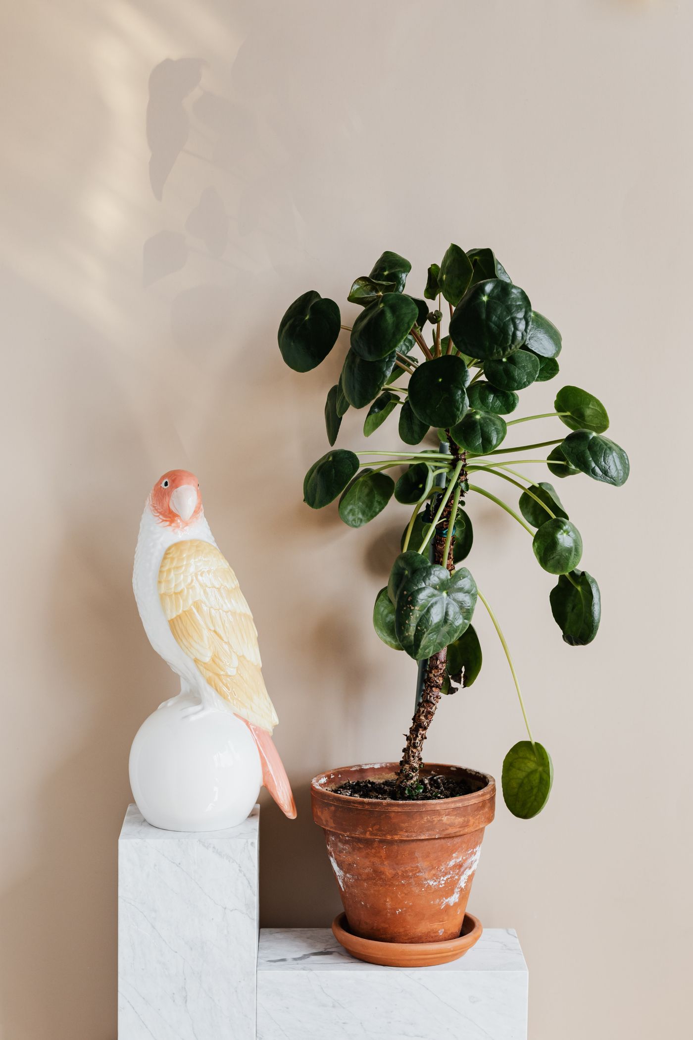 Studio pottery bowls